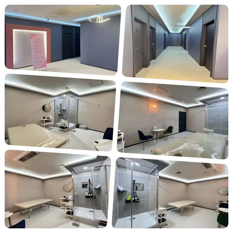 바비스웨디시 내부