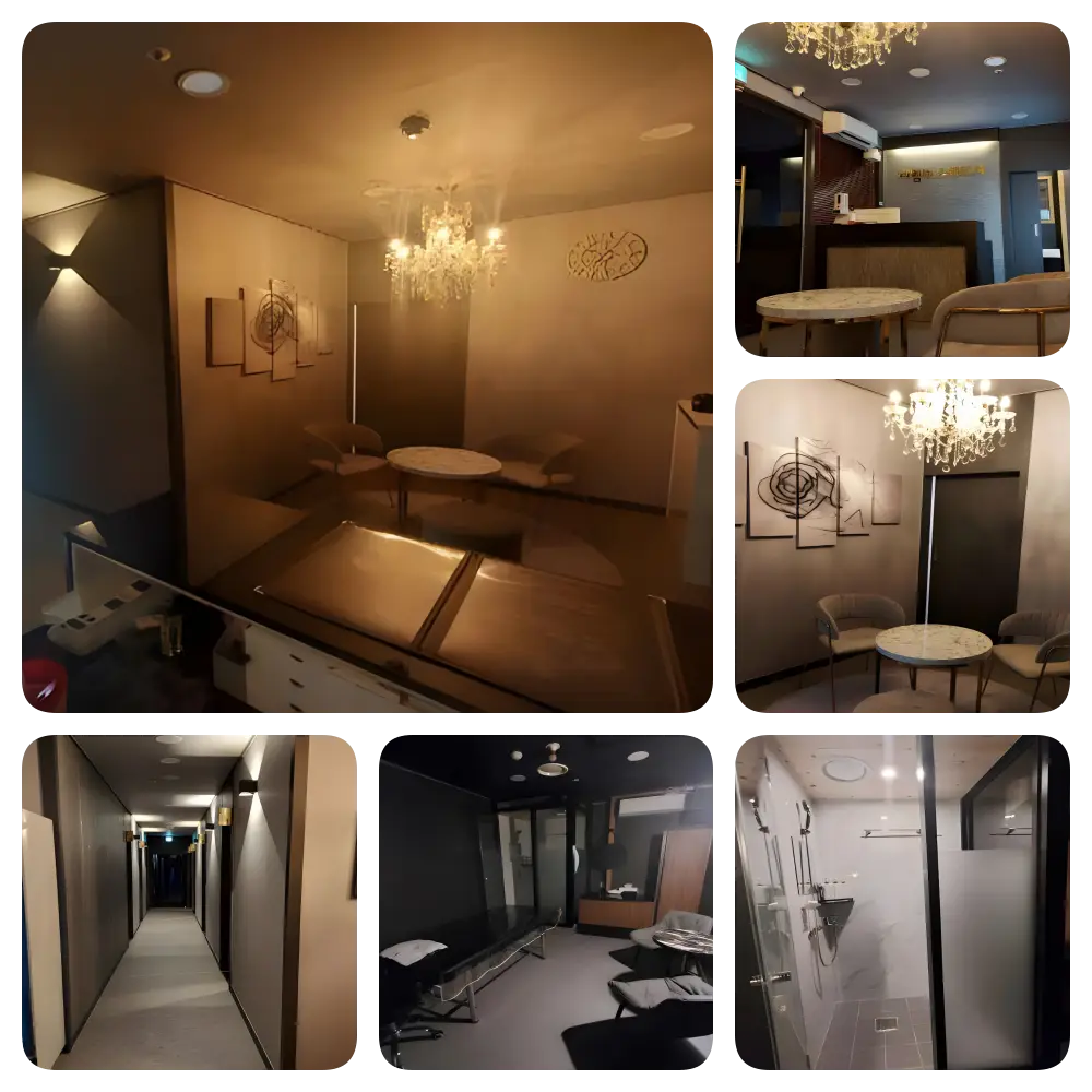 대전 퍼플스웨디시 실내 사진