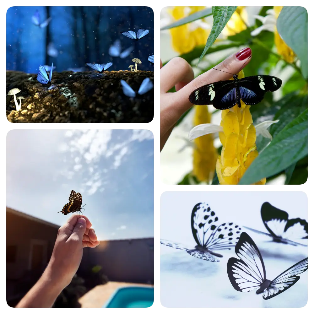 대구 약손나비테라피 image