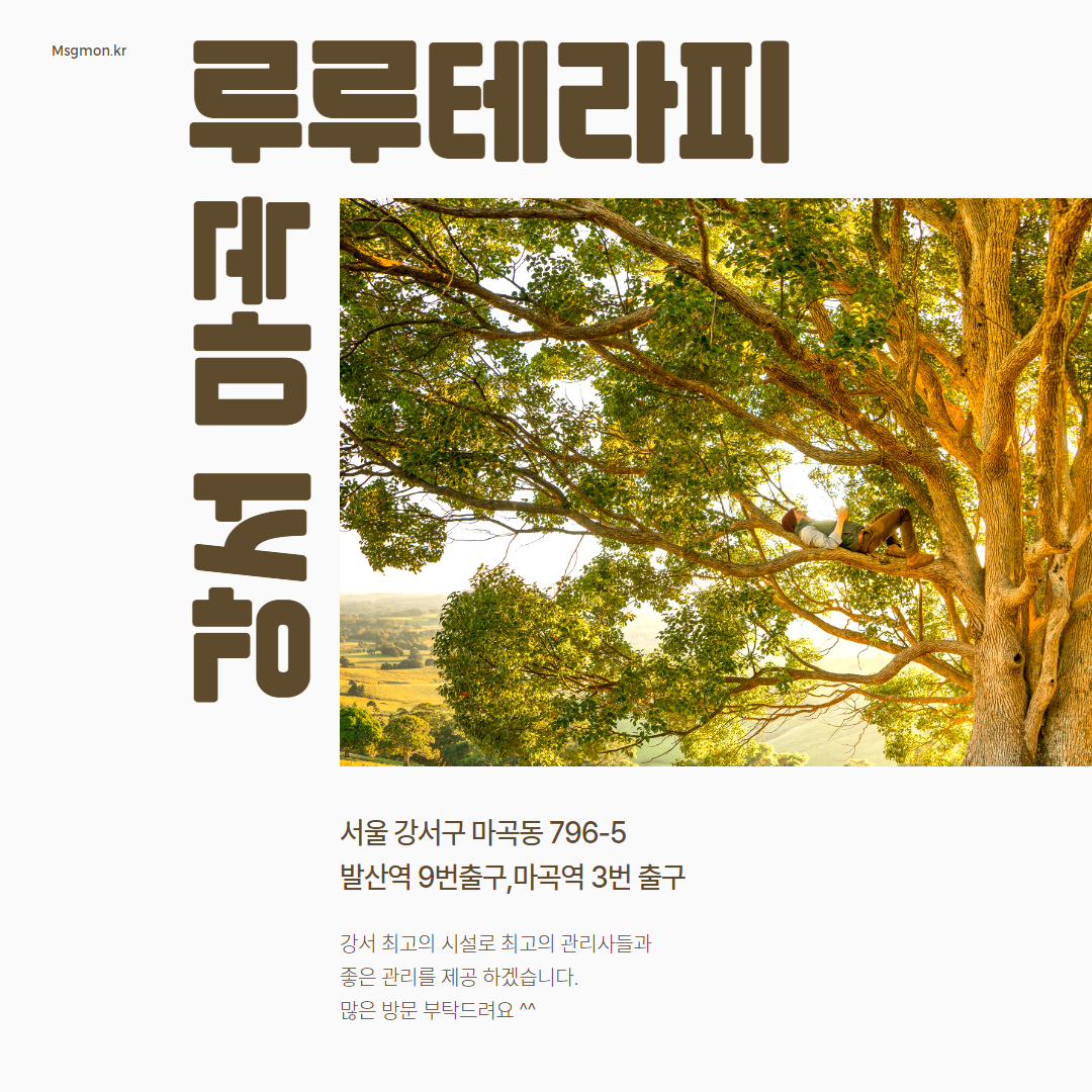 강서 마곡 루루테라피