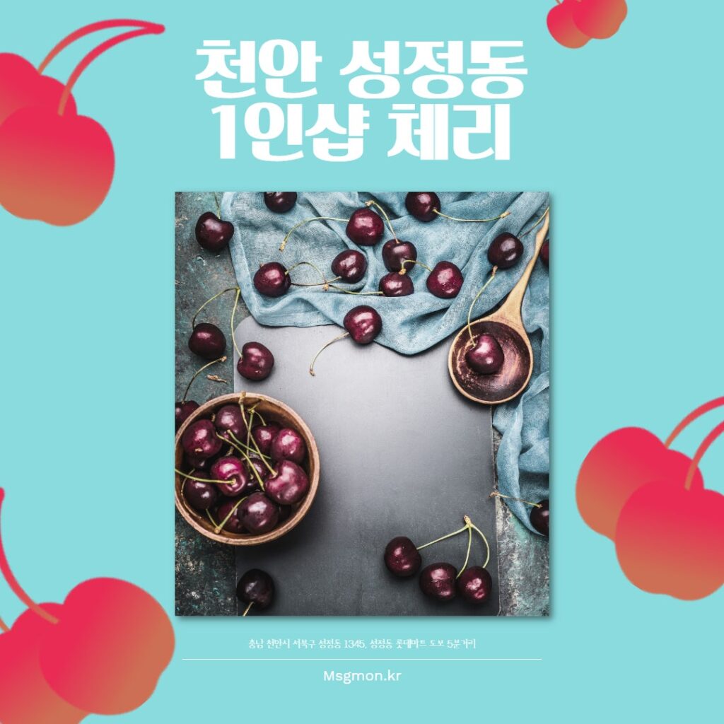 천안 체리 1인샵